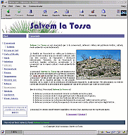 Aspecte de la web del 2002